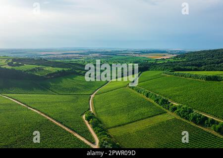 Luftaufnahme über die berühmten Weinberge Ungarns in der Weinregion Villany. Ungarischer Name ist Ördögárok. Stockfoto