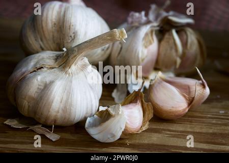 Detail mit einigen lila Knoblauchköpfen mit etwas losem Knoblauch auf einem Holzbrett mit Licht von der Seite eines Fensters Stockfoto