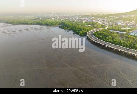 Luftaufnahme von Schlammflächen, Mangrovenwäldern, nachhaltiger Stadt und grünem Mangrovenwald. Mangroven fangen CO2 aus der Atmosphäre ein. Blaue Kohlenstoffökosys Stockfoto