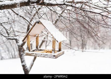 Ein schöner kleiner Garten mit Vogelfutter, die im Winter an der Vogelzucht füttern. Verschneiter Wintertag im Garten Stockfoto