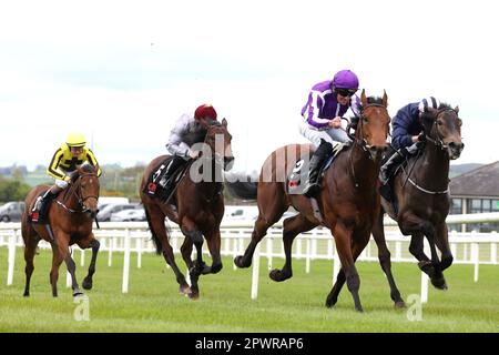 Seine Majestät reitet von Jockey Seamie Heffernan (zweite rechts) und gewinnt den Gewinn des First Flier auf der Rennbahn Curragh, County Kildare. Foto: Montag, 1. Mai 2023. Stockfoto