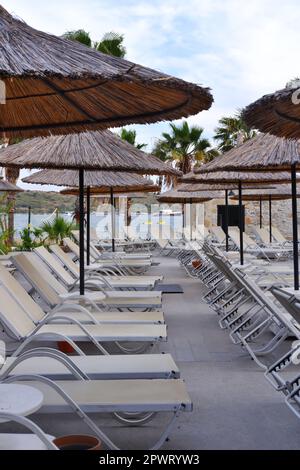 Leere Sonnenliegen, Palmen und Bambusschirme am Pool mit Meer im Hintergrund an einem sonnigen Sommertag Stockfoto