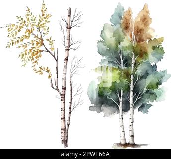 Aquarell Birkenbäume Russland Baum Designelement für Tapeten, Website Hintergrund Vektordarstellung. Stock Vektor