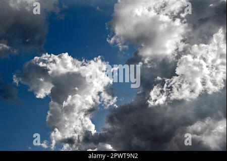 Aufsteigende, geraffte Cumuluswolken am blauen Himmel bei schönem Sommerwetter Stockfoto