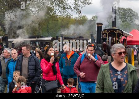 Antrim, N. Ireland. 1. Mai 2023. Die Shanes Castle Steam Rally fand am 30. April und am 1. Mai statt und zog Tausende von Menschen an. Steam Traction Engines, Traktoren, eine unterhaltsame Messe, Oldtimer und Greifvogelvorführungen waren nur einige der Attraktionen. Kredit: AG News/Alamy Live News Stockfoto