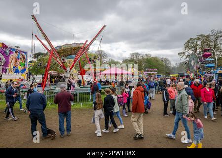 Antrim, N. Ireland. 1. Mai 2023. Die Shanes Castle Steam Rally fand am 30. April und am 1. Mai statt und zog Tausende von Menschen an. Steam Traction Engines, Traktoren, eine unterhaltsame Messe, Oldtimer und Greifvogelvorführungen waren nur einige der Attraktionen. Kredit: AG News/Alamy Live News Stockfoto