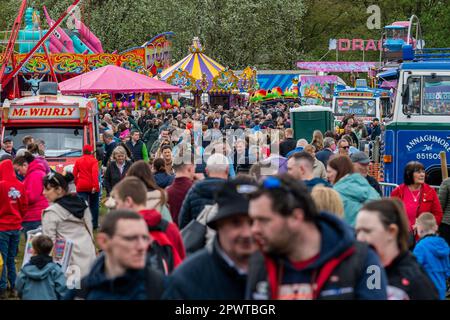 Antrim, N. Ireland. 1. Mai 2023. Die Shanes Castle Steam Rally fand am 30. April und am 1. Mai statt und zog Tausende von Menschen an. Steam Traction Engines, Traktoren, eine unterhaltsame Messe, Oldtimer und Greifvogelvorführungen waren nur einige der Attraktionen. Kredit: AG News/Alamy Live News Stockfoto