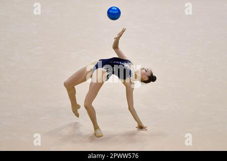Turin, Italien. 30. April 2023. Italien, Turin 30/04/23 Pala Gianni Asti von Turin Finale sechs der National Rhythmic Gymnastics Championship Series Ein 2023 Isabella Tavano Udinese Ball (Foto: Tonello Abozzi/Pacific Press) Kredit: Pacific Press Media Production Corp./Alamy Live News Stockfoto