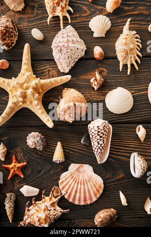 Muscheln und Seesterne auf dunklem Holzhintergrund, flach liegend, Draufsicht. Sommerzeit, Seereise, Reisekonzept Stockfoto