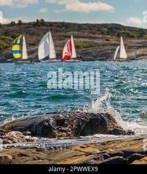 Tjörn, Schweden - August 17 2013: Tjörn Runt ist ein jährlicher Langstrecken-Segelwettbewerb rund um die Insel Tjörn. Blick von Rönsti Stockfoto