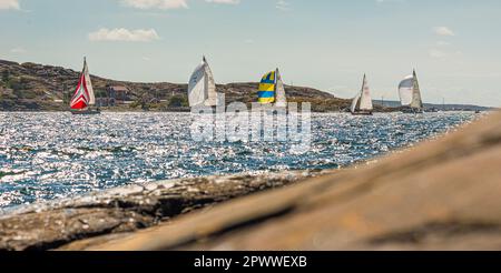 Tjörn, Schweden - August 17 2013: Tjörn Runt ist ein jährlicher Langstrecken-Segelwettbewerb rund um die Insel Tjörn. Blick von Rönsti Stockfoto