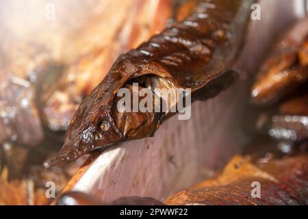 Heiß geräucherter Stör. Ein ganzer heiß geräucherter Stör liegt im Raucherladen. Der Vorgang des Räucherns exotischer Fische. Stockfoto