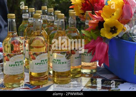 Reiner Apfelsaft auf einem Gartenfest Stockfoto