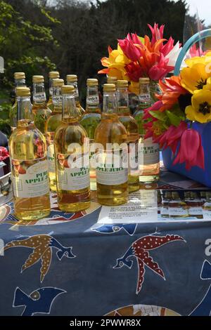 Reiner Apfelsaft auf einem Gartenfest Stockfoto