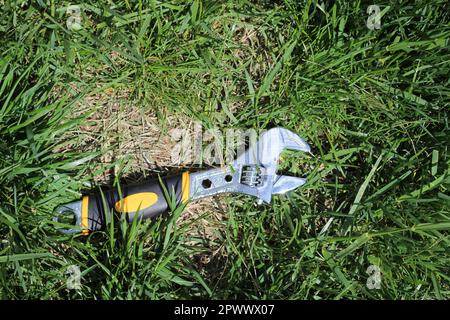 Rollgabelschlüssel aus Silberstahl im Gras, von oben aufgenommen Stockfoto