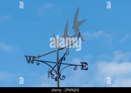 Wetterfahne mit drei Schwalben auf dem Dorfsaal im Dorf Selborne, Hampshire, England, Großbritannien Stockfoto