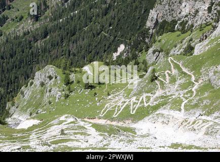 Zickzack-Fußweg, der den steilen Hang der Dolomiten in Italien in der Nähe des Dorfes San Martino di Castrozza hinabführt Stockfoto