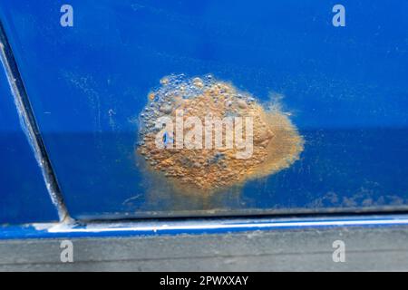 Rostfleck an der blauen Autotür. Große Stelle von Rostblasen Stockfoto