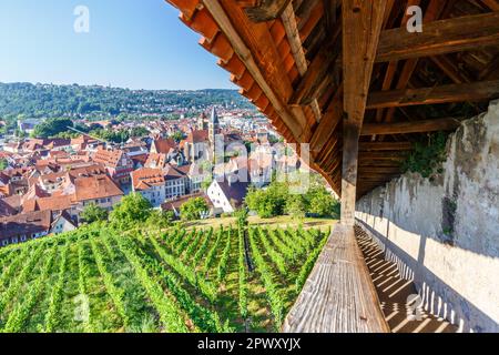 Blick auf Esslingen Stadt mit alten Rathaus und Kirche Reisen in Deutschland Stockfoto