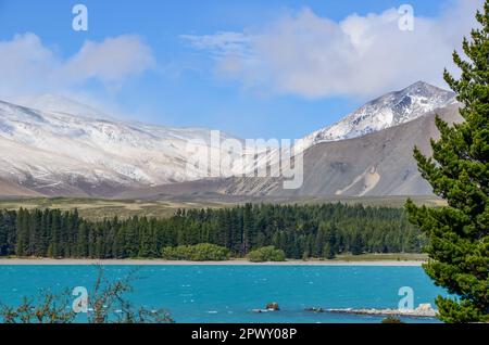 Der Lake Tekapo wird von schneebedeckten Berggipfeln in Neuseeland eingerahmt Stockfoto