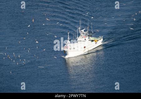 Rausu, 28. November 2017: Blick auf ein Fischerboot, das zum Hafen zurückkehrt. Halbinsel Shiretoko. Unterpräfektur Nemuro. Hokkaido. Japan. Stockfoto