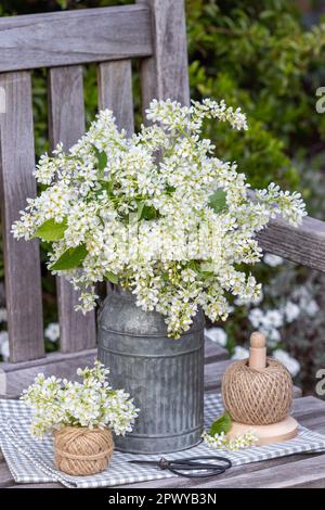 Arrangement mit Blumenstrauß aus Vogelkirschblüten im Oldtimer-Krug Stockfoto