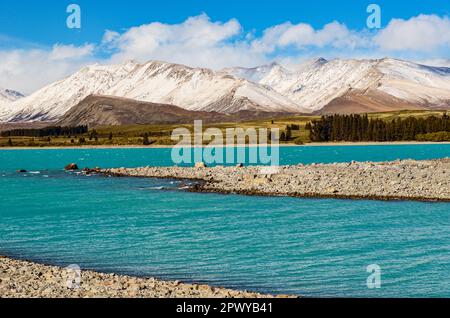 Der Lake Tekapo wird von schneebedeckten Berggipfeln in Neuseeland eingerahmt Stockfoto