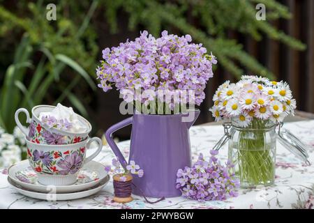 Arrangement mit Wiesenschaumkraut, altem Porzellanbecher und Gänseblümchen Stockfoto