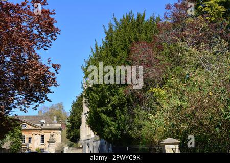 Lyncombe Vale, Bath, Vereinigtes Königreich. 20. April 2023 Stockfoto