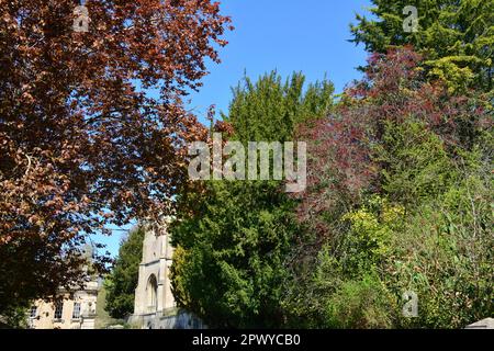 Lyncombe Vale, Bath, Vereinigtes Königreich. 20. April 2023 Stockfoto