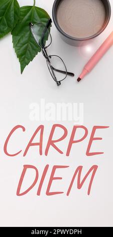 Textunterschrift mit Carpe Diem, Word für ein öffentliches Festival, bei dem die Leute Musik und Tanz spielen Stockfoto