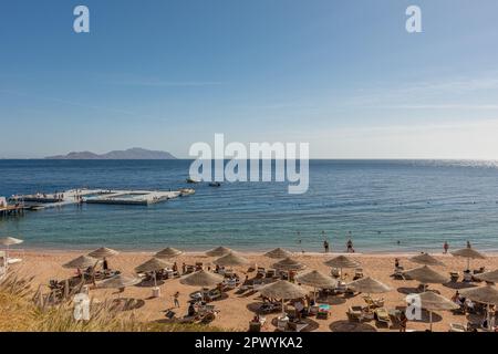 Sommerhintergrund mit tropischem Strand. Urlaubsurlaub und Reise-Abenteuer-Konzept. Stockfoto