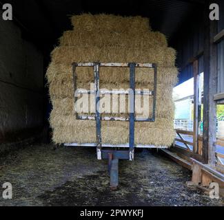 Strohballen auf einem Karren in einer Scheune auf dem Llwyn Yr EOS-Hof, St. Fagans Museum, Cardiff. 2023 Stunden. Stockfoto