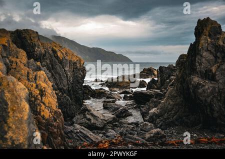 Felsige Küste auf der Nordinsel Neuseelands Stockfoto