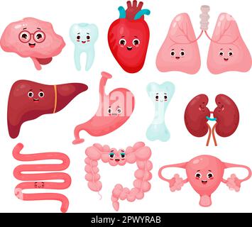 Sammlung süßer menschlicher Cartoon-Organe. Komische Figuren Organe isoliert auf weißem Hintergrund. Vektordarstellung. Anatomiekonzept Stock Vektor