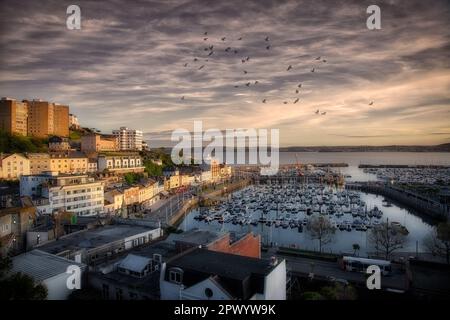 GB - DEVON: Abendlicher Blick auf Torquay Harbour mit Torbay im Hintergrund (HDR-Fotografie von Edmund Nagele FRPS) Stockfoto