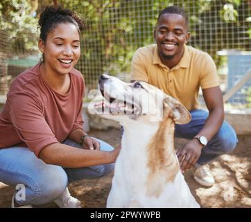 Schwarzes Paar, Adoption von Hunden und Haustieren im Tierheim für Wohlfahrt, Wohltätigkeit oder Hilfe für obdachlose Haustiere. Liebe, Pflegefamilie und glückliche Männer und Frauen, die sich verbinden Stockfoto