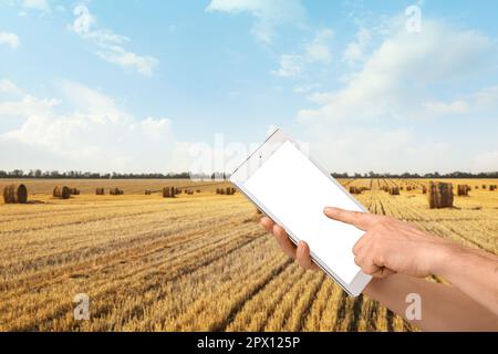 Landwirt mit Tablet-Computer auf dem Weizenfeld. Banner für Design Stockfoto