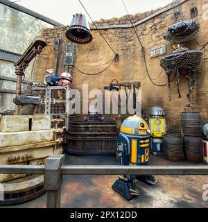 Orlando, FL USA-27. November 2019: Die Star Wars Androids werden in den Hollywood Studios in Orlando, Florida, ausgestellt. Stockfoto