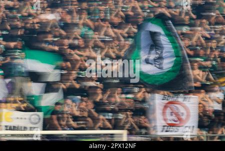 Budapest, Ungarn. 01. Mai 2023. Ujpest FC gegen Ferencvarosi TC - Ungarische OTP Bank Liga 1. Mai 2023 in Budapest, Ungarn, Szusza Ferenc Stadium, Fradi Fans, Kredit: Gabriella Barbara/Alamy Live News Stockfoto