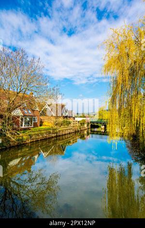 Der Great Stour River, der durch das Dorf Chartham, Kent, England, Großbritannien fließt Stockfoto