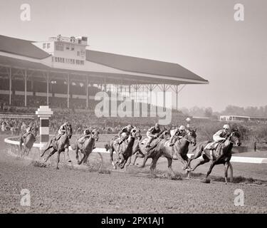 1950S VOLLBLÜTERPFERDE, DIE AUF EINER DIRT-TRACK-RENNSTRECKE RENNEN, MIT HAUPTTRIBÜNEN IM HINTERGRUND - H3738 HAR001 HARS-SÄUGETIERE SETZEN AUF SCHWARZ UND WEISS HAR001 ALTMODISCH Stockfoto