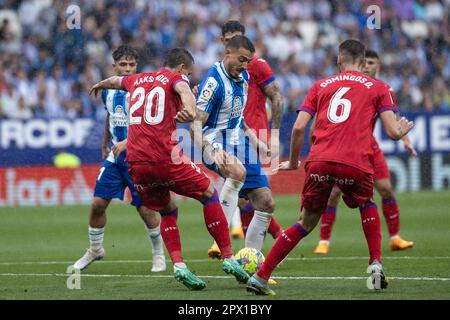 Cornella, Spanien. 30. April 2023. CORNELLA, SPANIEN - 30. APRIL: Joselu von RCD Espanyol während des Spiels La Liga zwischen RCD Espanyol und Getafe CF im RCDE-Stadion am 30. April 2023 in Cornella, Spanien (Kreditbild: © Gerard Franco/DAX via ZUMA Press Wire) NUR REDAKTIONELLE VERWENDUNG! Nicht für den kommerziellen GEBRAUCH! Stockfoto