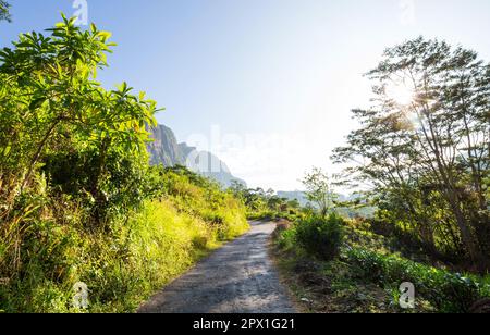 Tuk Tuk fährt auf einer Straße zwischen grünen Bäumen im Wald von Sri Lanka Stockfoto