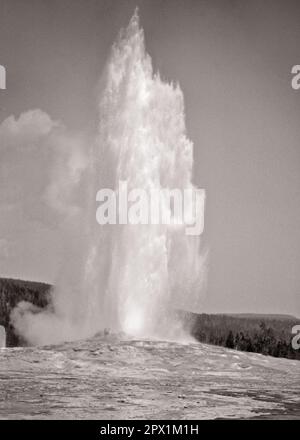 1930S OLD FAITHFUL GEYSER ERUPTING CONE GEYSER IM YELLOWSTONE-NATIONALPARK WYOMING USA - R1351 HAR001 HARS ALTMODISCHE UNESCO-WELTKULTURERBESTÄTTE Stockfoto