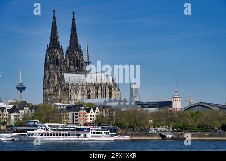 köln, deutschland april 30 2023: Dekorierte Ausflugsboote am rheinufer vor dem Kölner Dom in der kölner Altstadt Stockfoto