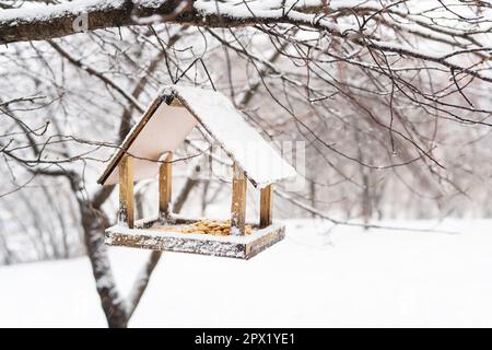 Ein schöner kleiner Garten mit Vogelfutter, die im Winter an der Vogelzucht füttern. Verschneiter Wintertag im Garten Stockfoto