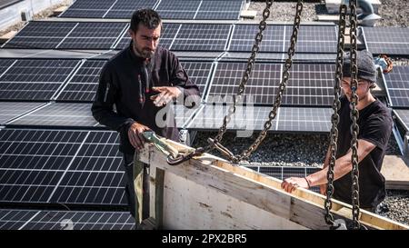 Männliche Teamingenieure, die eigenständige Solarpaneele installieren. Elektriker montieren blaues Solarmodul auf dem Dach des Unternehmens. Alternati Stockfoto