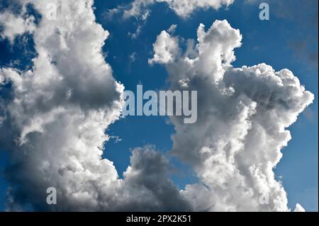 Aufsteigende, geraffte Cumuluswolken am blauen Himmel bei schönem Sommerwetter Stockfoto