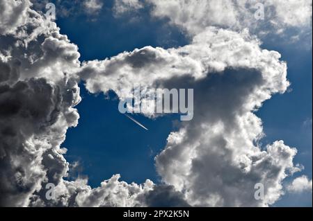 Aufsteigende, geraffte Cumuluswolken am blauen Himmel bei schönem Sommerwetter Stockfoto